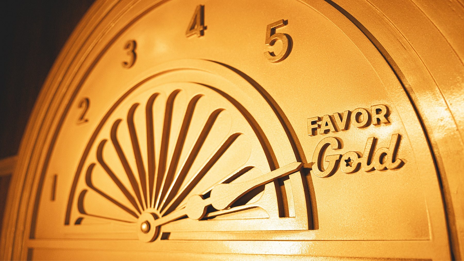 FAVOR FAVORGOLD DOTCO 009