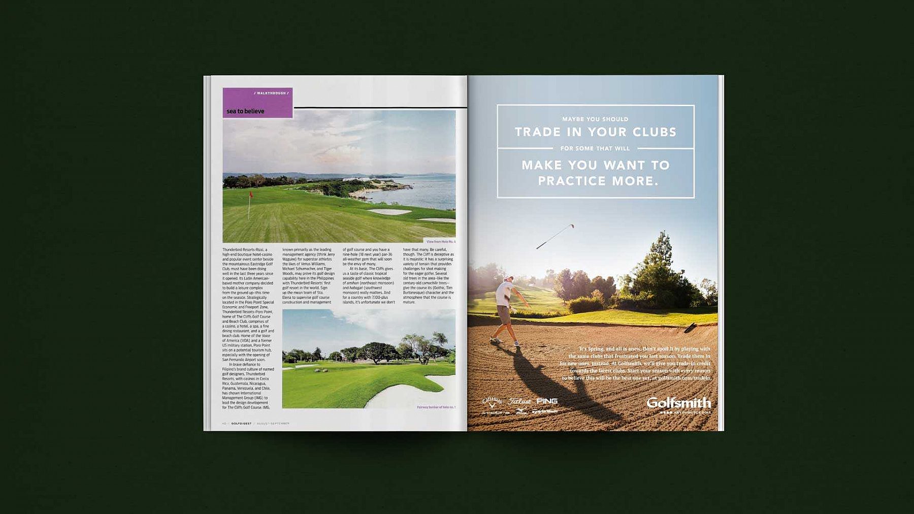 Golfsmith Preacher 4