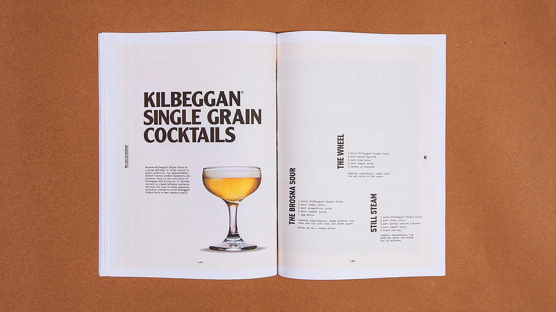 Kilbeggan Preacher 41