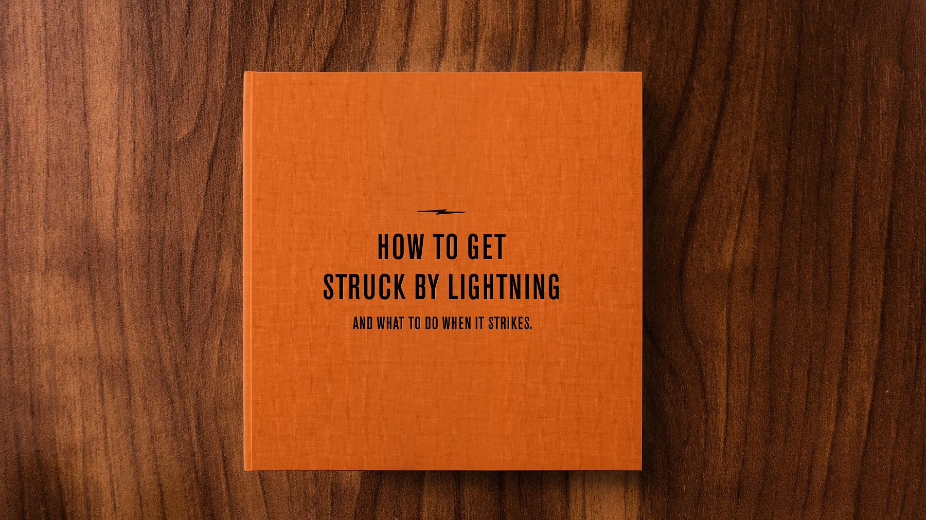 SHINOLA BRAND BOOK 01