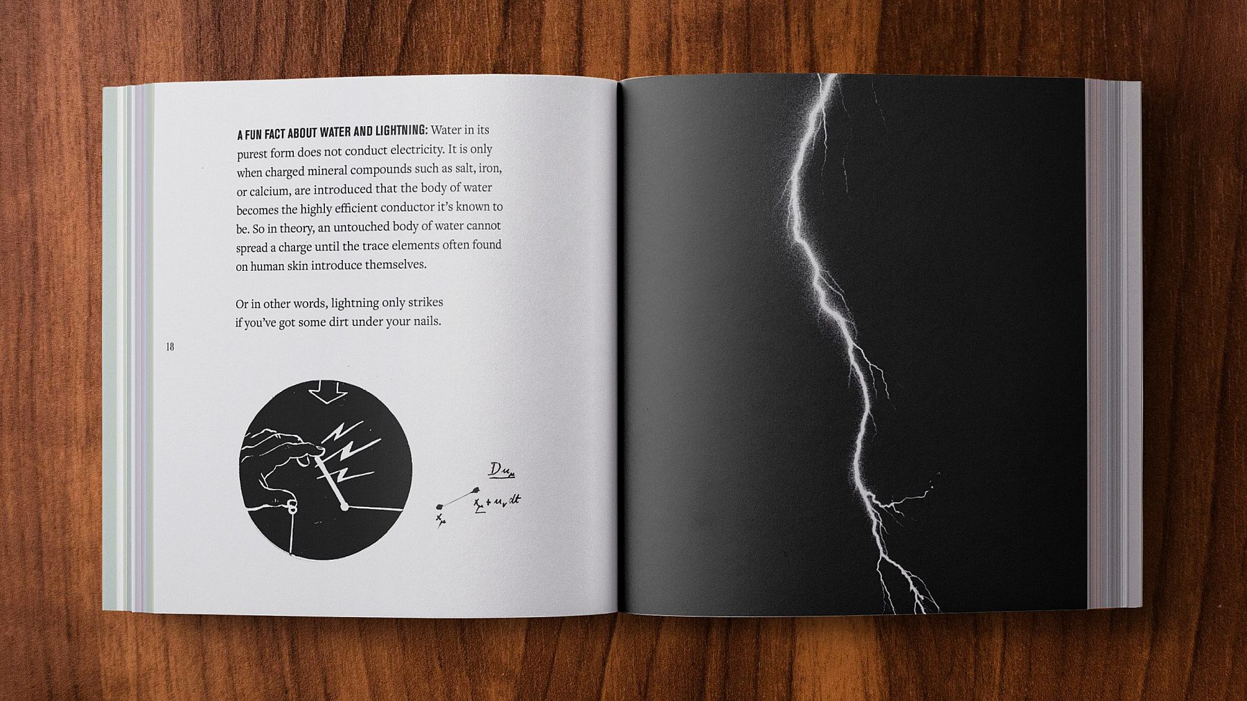 SHINOLA BRAND BOOK 10