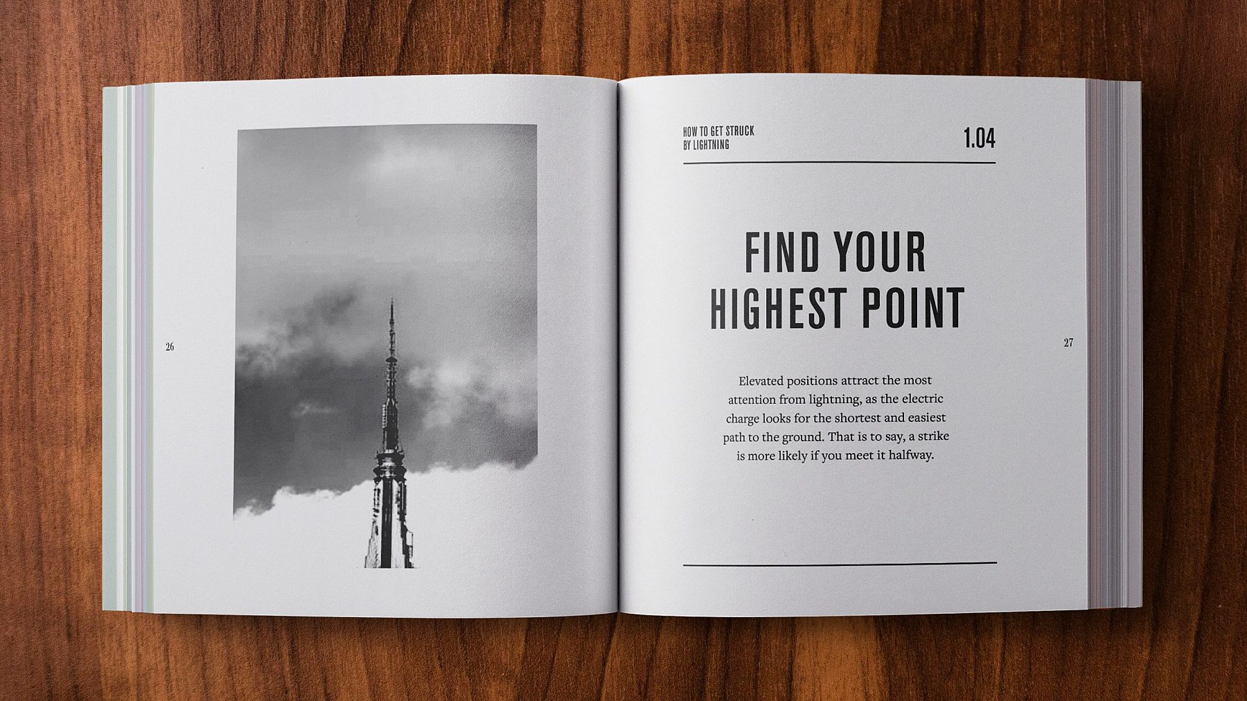 SHINOLA BRAND BOOK 11