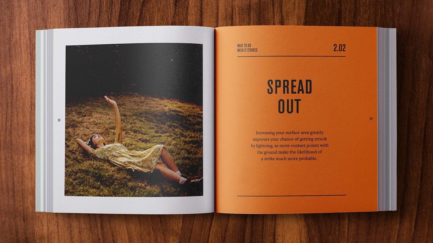 SHINOLA BRAND BOOK 14