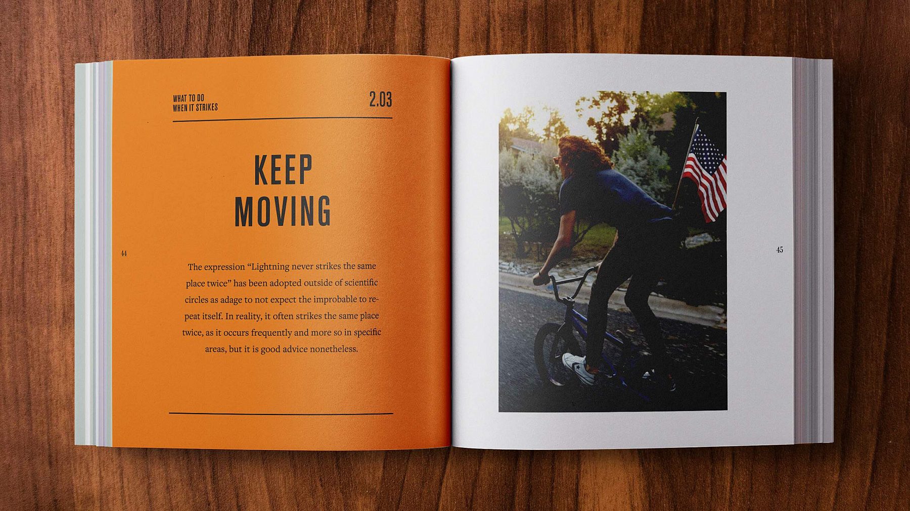 SHINOLA BRAND BOOK 15