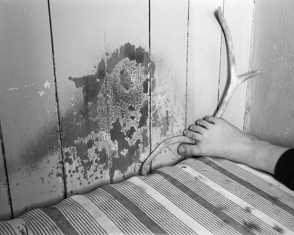 For resized 500dpi 10