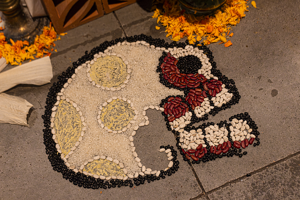 IMG 6090 Enhanced NR1